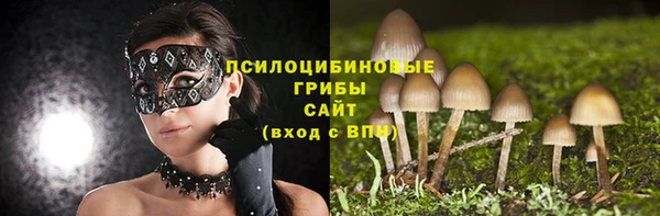 ГАЛЛЮЦИНОГЕННЫЕ ГРИБЫ Белокуриха
