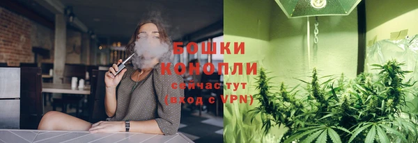 сатива Белоозёрский