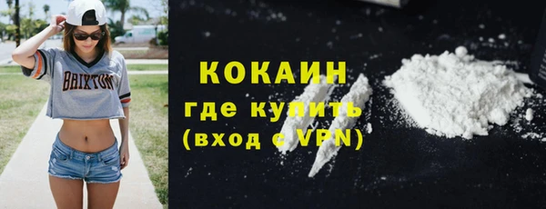 ГАЛЛЮЦИНОГЕННЫЕ ГРИБЫ Белокуриха