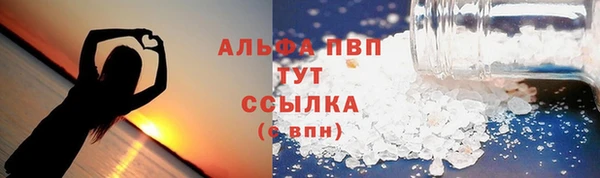 ГАЛЛЮЦИНОГЕННЫЕ ГРИБЫ Белокуриха