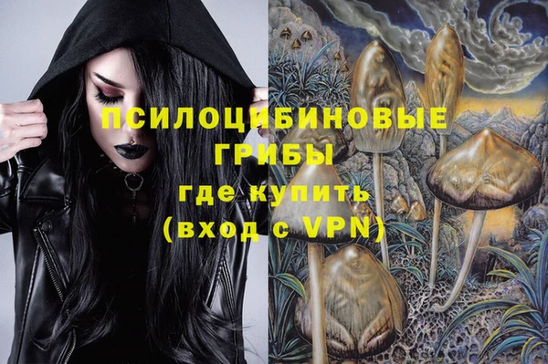 ГАЛЛЮЦИНОГЕННЫЕ ГРИБЫ Белокуриха