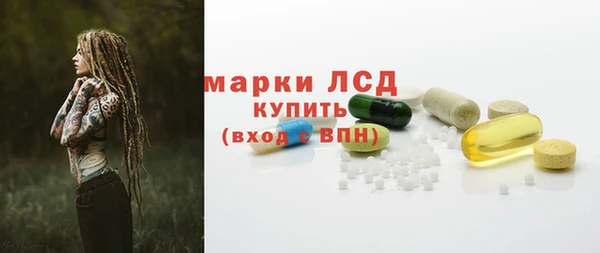ГАЛЛЮЦИНОГЕННЫЕ ГРИБЫ Белокуриха