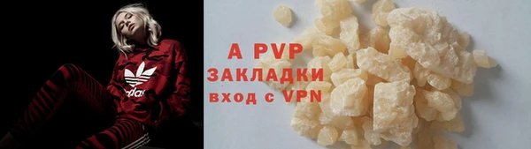спиды Богданович