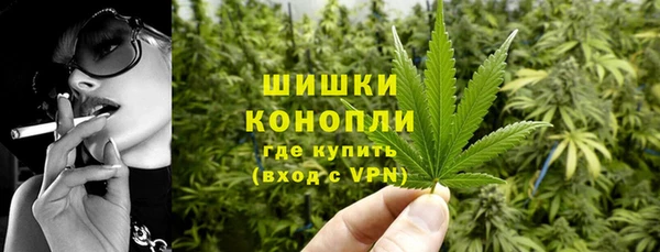 ГАЛЛЮЦИНОГЕННЫЕ ГРИБЫ Белокуриха