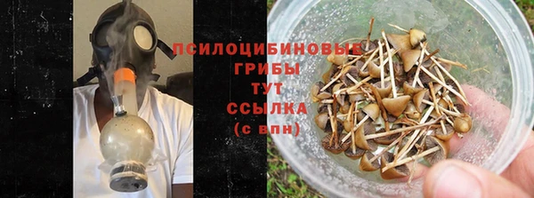 ГАЛЛЮЦИНОГЕННЫЕ ГРИБЫ Белокуриха
