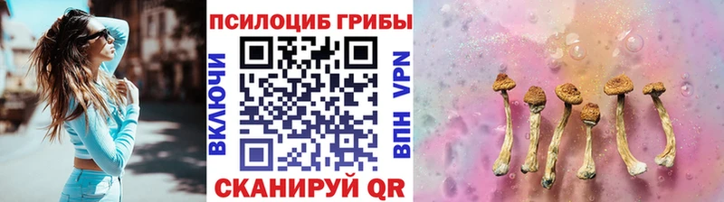 Галлюциногенные грибы Magic Shrooms Обь